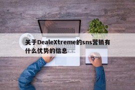 关于DealeXtreme的sns营销有什么优势的信息