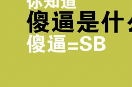 sb是什么意思 ,sb是什么意思？