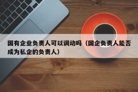 国有企业负责人可以调动吗（国企负责人能否成为私企的负责人）