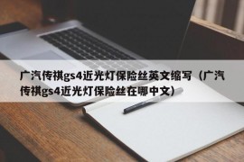 广汽传祺gs4近光灯保险丝英文缩写（广汽传祺gs4近光灯保险丝在哪中文）