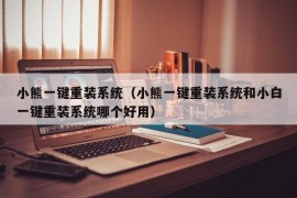 小熊一键重装系统（小熊一键重装系统和小白一键重装系统哪个好用）