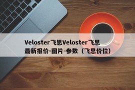 Veloster飞思Veloster飞思最新报价-图片-参数（飞思价位）