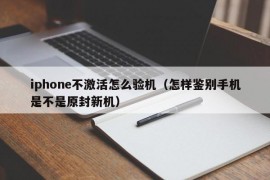 iphone不激活怎么验机（怎样鉴别手机是不是原封新机）